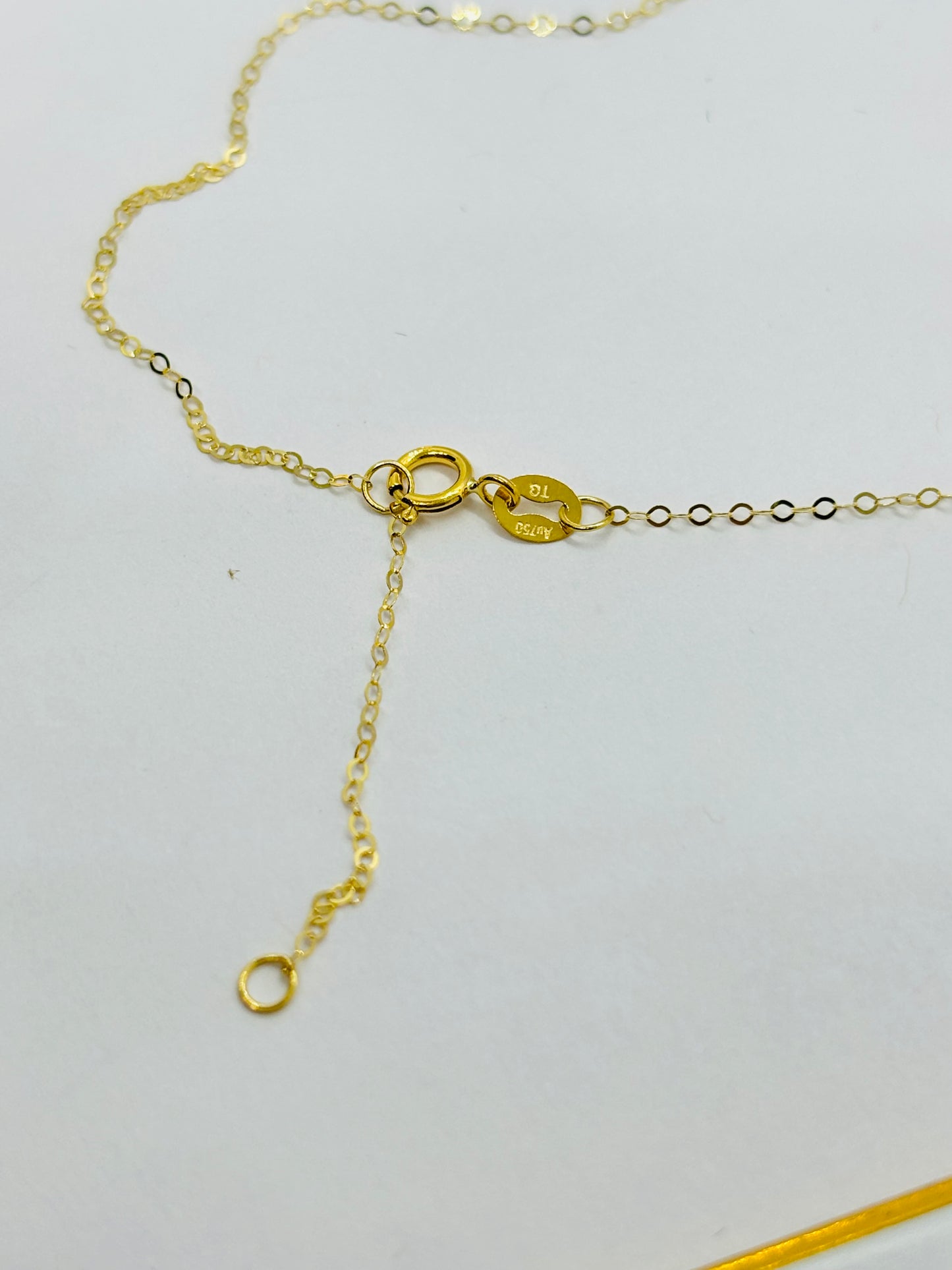 18K Gold V Attached Necklace