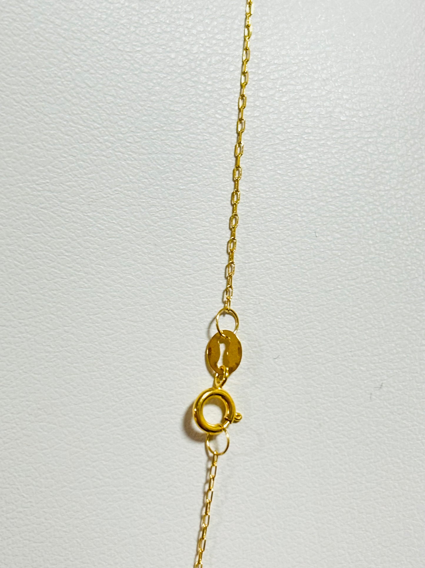 18K Gold with Moissanite Diamond Attached Necklace